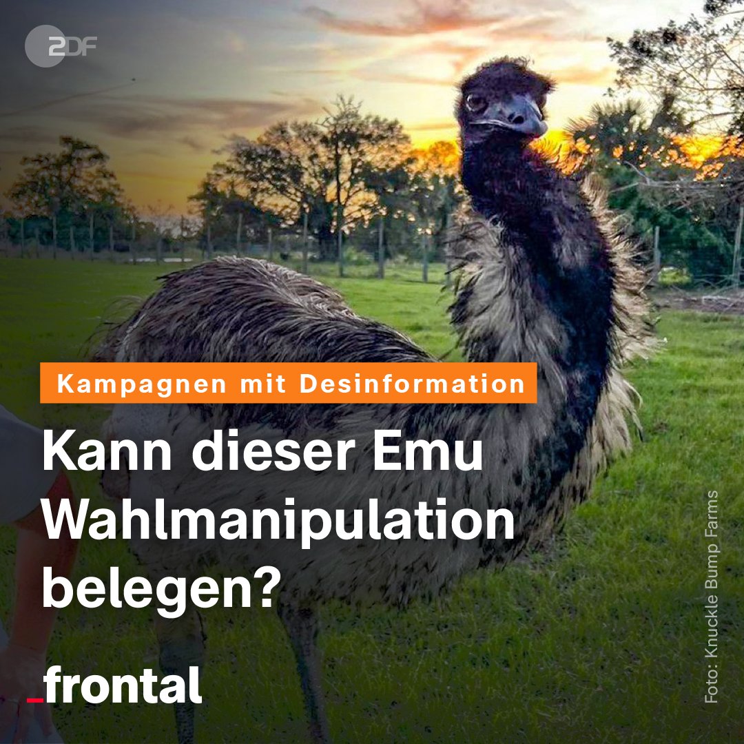Eine SocialMedia-Kampagne erklärt einen Emu fälschlich für tot. Dahinter steckt eine Firma, die im Geheimen Wahlen beeinflussen will. Eine Recherche von ZDF/#ZDFfrontal, DER SPIEGEL, DIE ZEIT gemeinsam mit Investigativ-Netzwerk Forbidden Stories #Storykillers