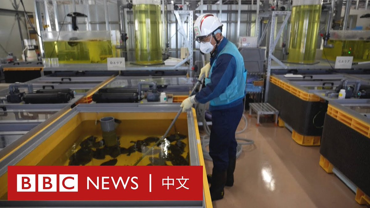日本政府决定于2023年春季开始排放福岛核废水,日本渔业界有反对声音,邻近的中国、韩国与台湾也表达质疑。