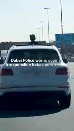 Dubai Police warns against irresponsible behaviours such as #DPAwareness