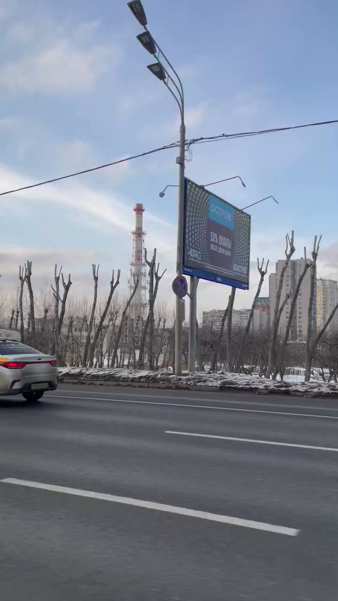 Кто устроил этот мёртвый лес на другой стороне от Поклонной горы?