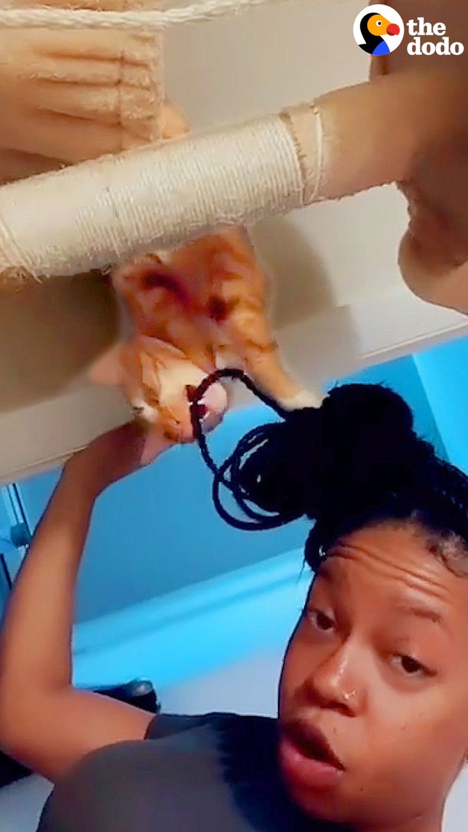 Black people with cats is the funniest thing ever 😭