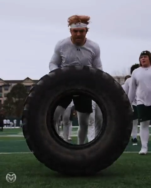 not for the timid… #Stalwart x #BurnTheBoats