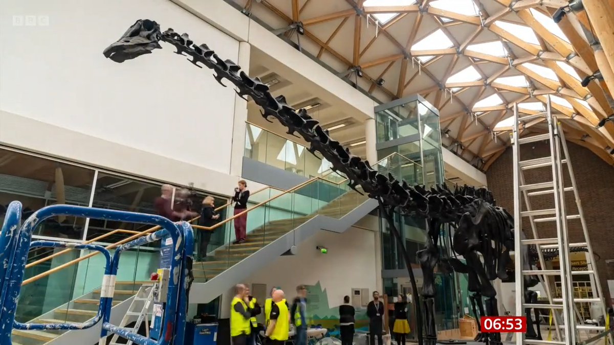 Arguably the world's most famous dinosaur exhibit has taken up residency at a museum in Coventry. Marguerite Nugent from CV Life spoke to #BBCBreakfast about Dippy the Diplodocus which has moved from the Natural History Museum to Herbert Art Gallery