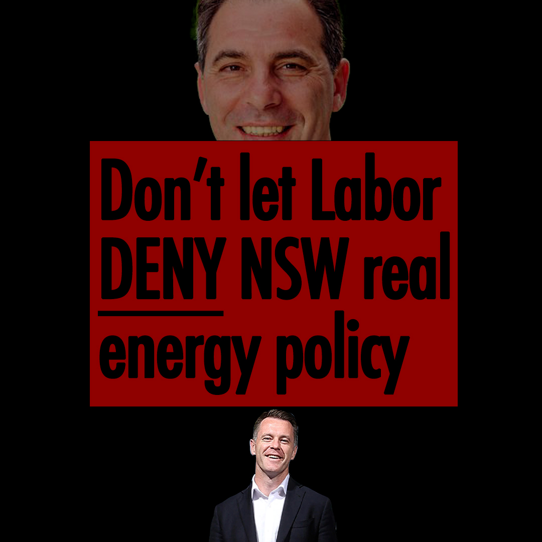 Labor won't deliver real energy infrastructure, just borrowed talking points... and look who they've borrowed them from.