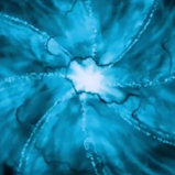 be honest, how long did you stare at these things?