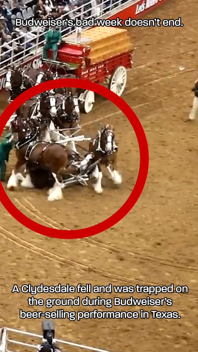 Oof. First, PETA exposed that Budweiser severs horsesโ tailbones & now this? #FollowTheHitch