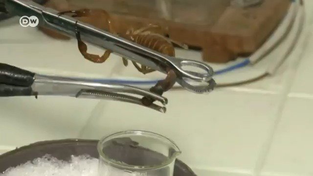 Cómo es que un medio serio, como la DW Español reporte con tan escaso rigor la “terapia alternativa contra el cáncer”; en este caso, el escorpión azul de Cuba. Hablemos claro: No existe tal cosa como una “terapia alternativa contra el cáncer”.