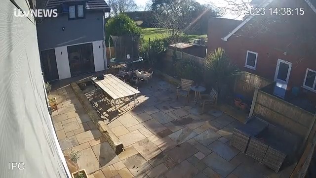A family say they have been left shocked and appalled after a pack of hounds killed a fox in their private garden. The moment of death at the hands of the hunt was caught on numerous CCTV cameras at the home in Hingham, Norfolk. @nataliegrayITV reports: