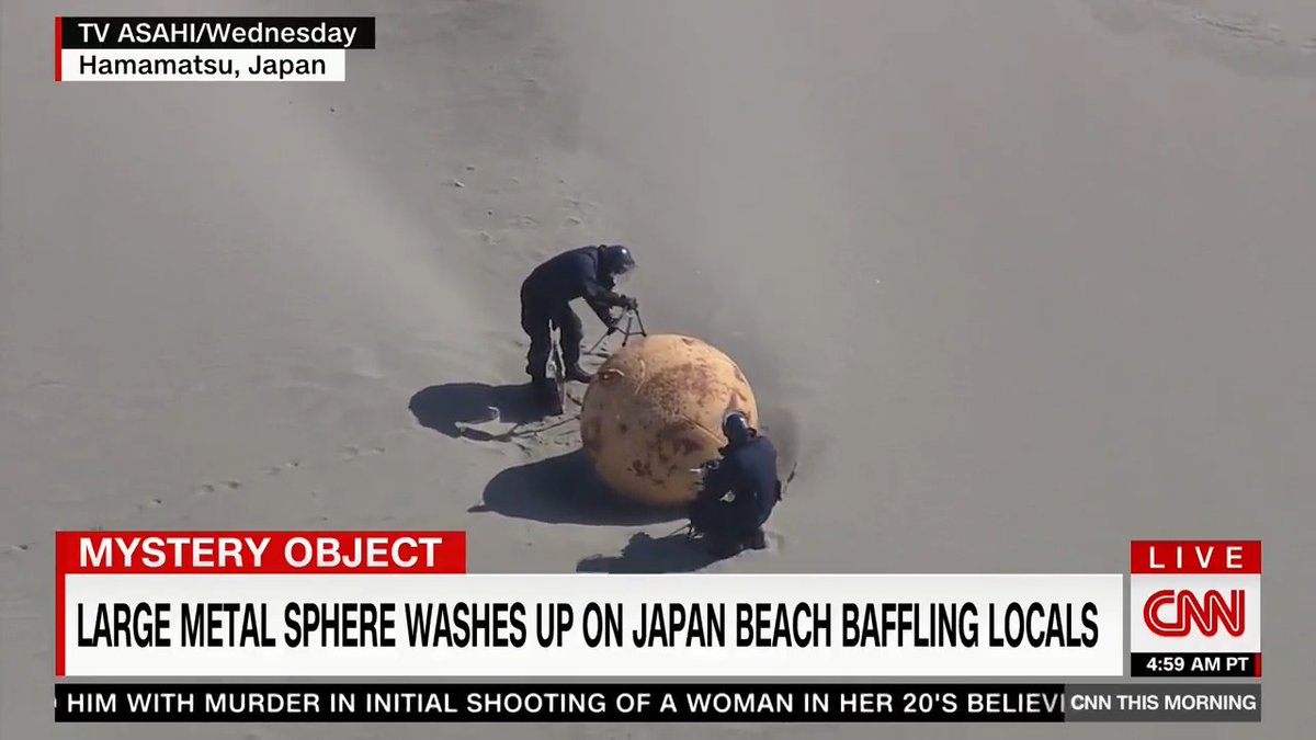 Astrophysicist Neil deGrasse Tyson says he has "no idea" what the large metal sphere that has washed up on a beach in Japan really is