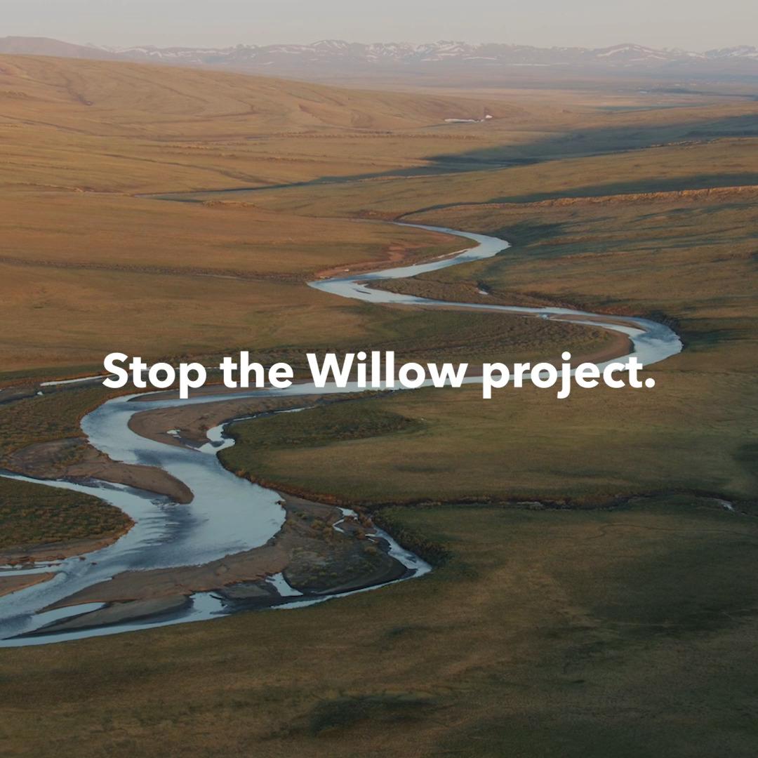 The time to act is now. We have until March 3 to stop the Willow project. Send a message to Secretary Deb Haaland to help stop this ecological disaster from happening here: #StopWillow