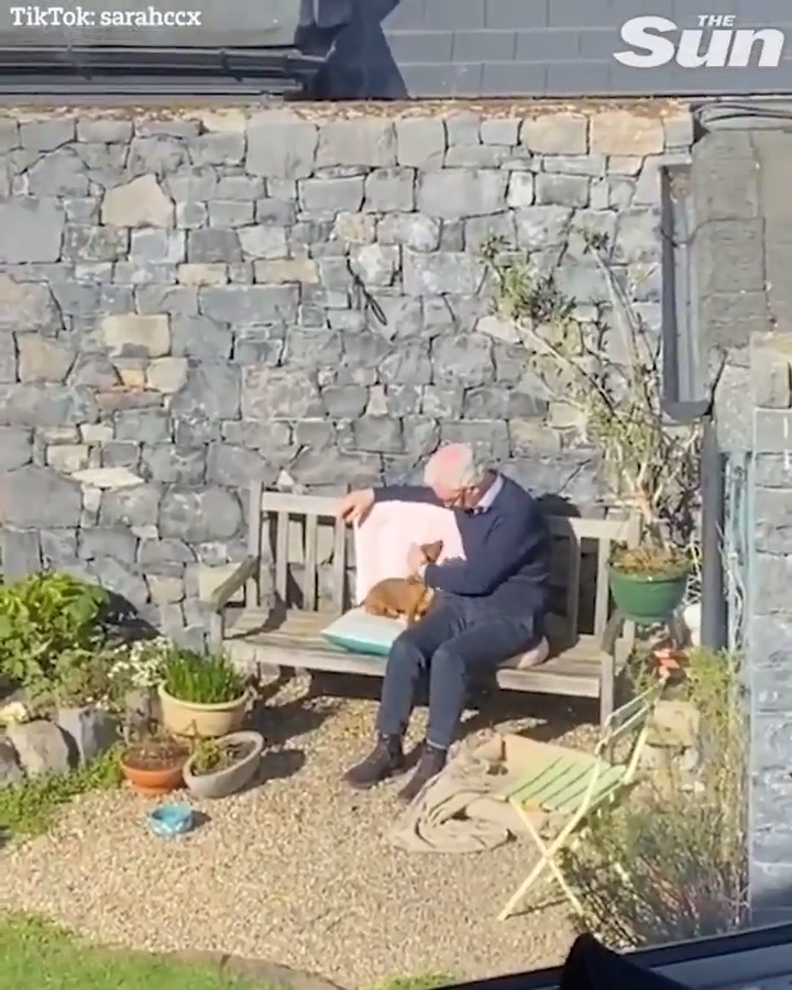 "à quel point t’aimes les animaux ?" moi: