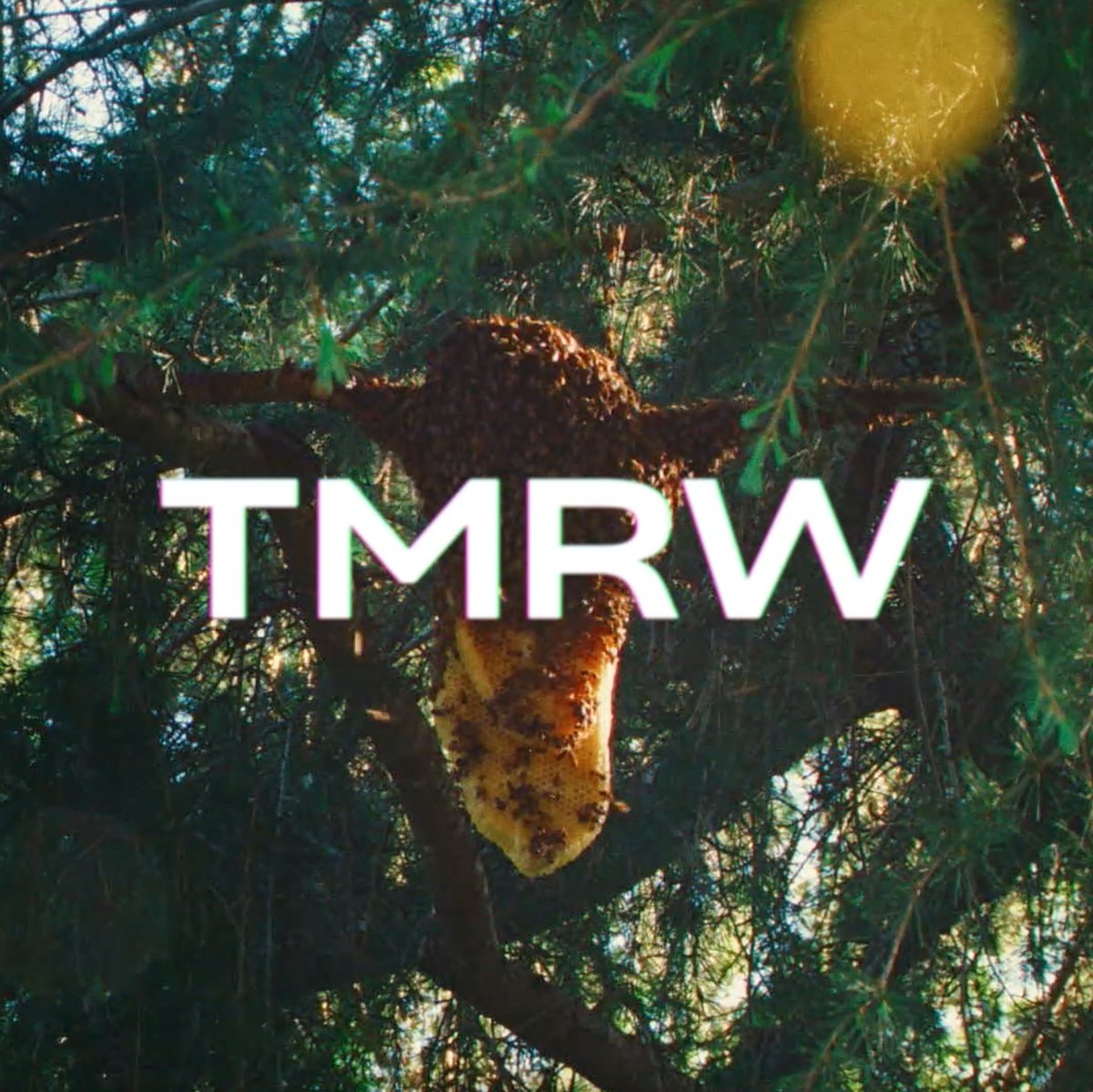 Sometimes it feels good to give in… Swarm. Trailer. TMRW.