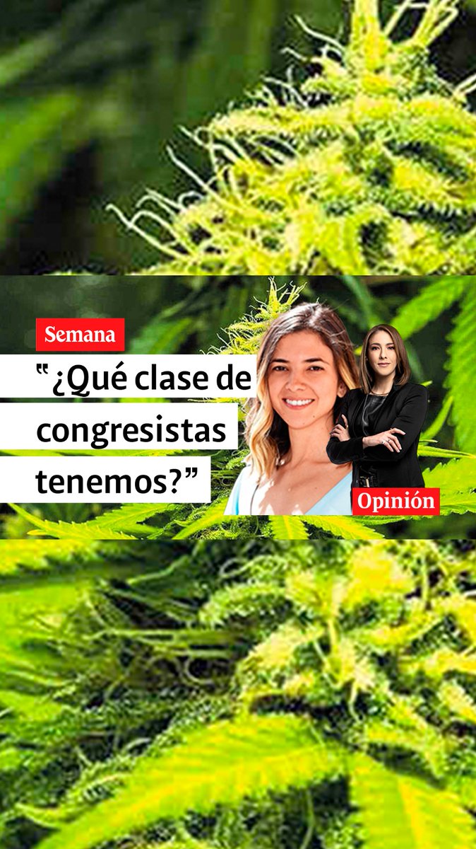 Muy graves denuncias contra la congresista Susana Boreal