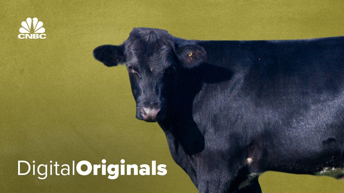 The Scottish meat industry is worth more than $1.7 billion. But with global beef consumption trending downwards and a climate change emergency to contend with, can the home of Angus diversify in time? (via CNBC International)