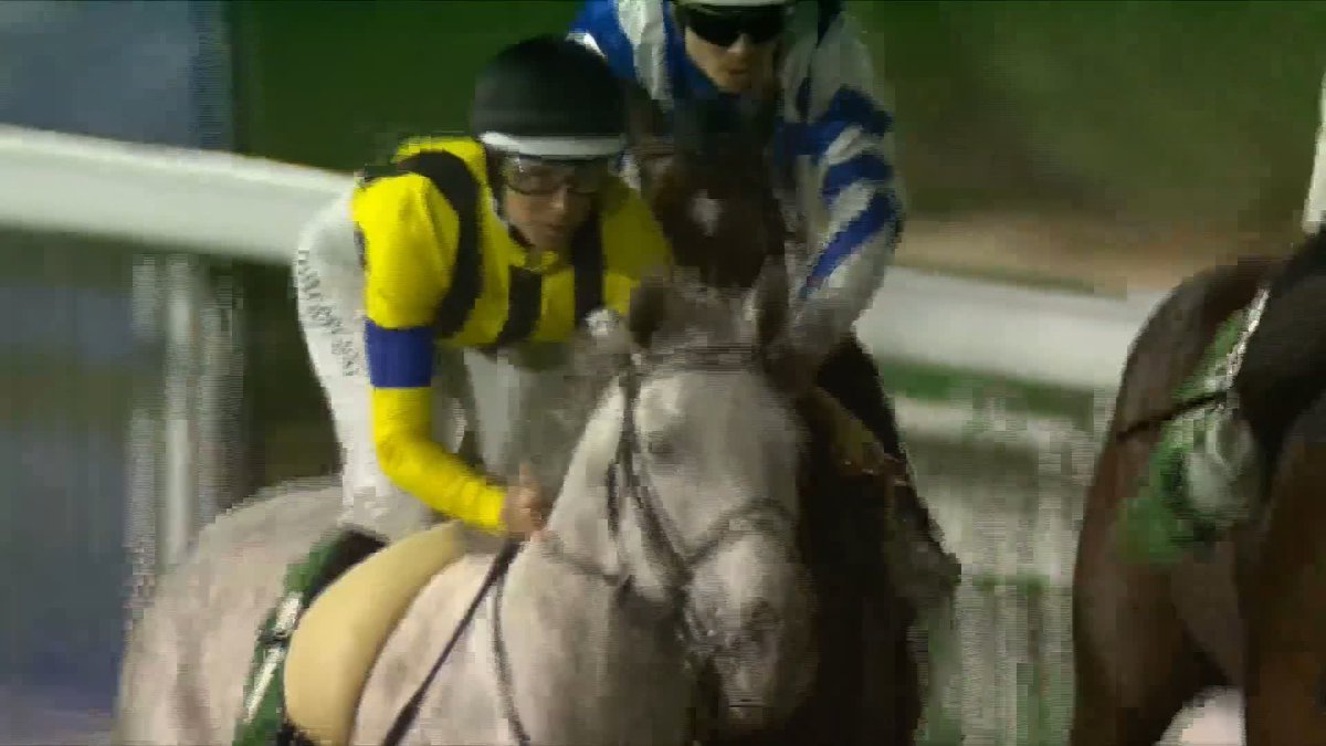 🇯🇵 Silver Sonic - he's out of this world! Two victories for Japan on The Saudi Cup 🏆 as the galloping grey Silver Sonic is a smooth winner of the Longines Red Sea Turf Handicap for Damian Lane &amp; Yasutoshi Ikee #TheSaudiCup🏆 #サウジカップ🏆🎌 #シルヴァーソニック