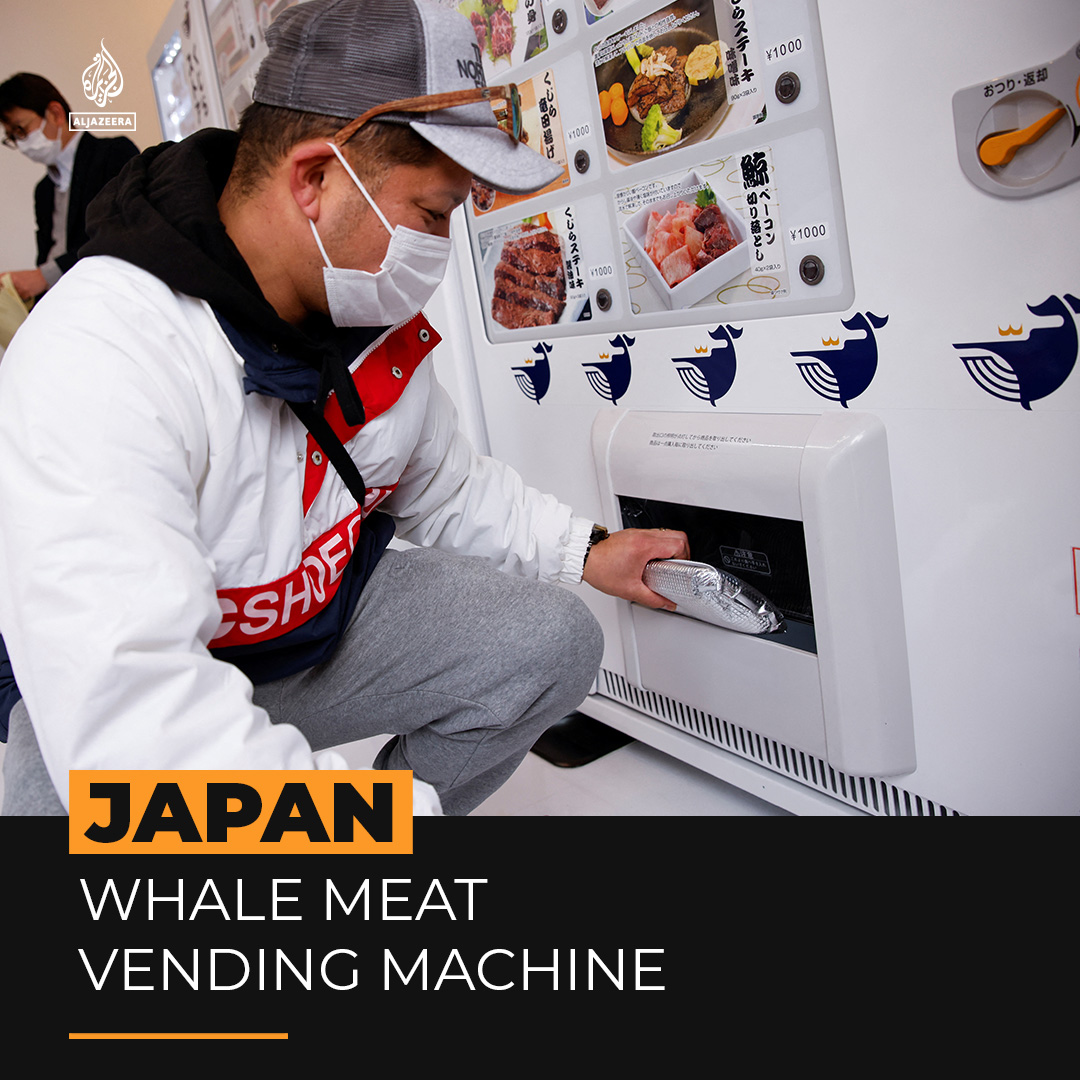This whaling company in Japan has opened vending machines that serve whale meat, despite criticism from anti-whaling groups 🐋