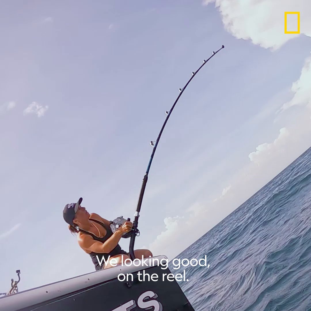 Woman vs. beast — who will win? Find out in the season premiere of #WickedTuna tonight at 9/8c on National Geographic TV 🎣