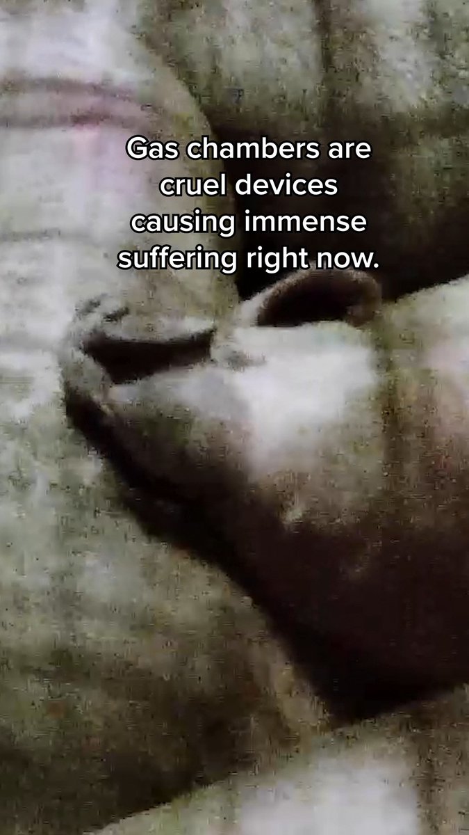 Their dying screams weren’t enough to save them from this 😢