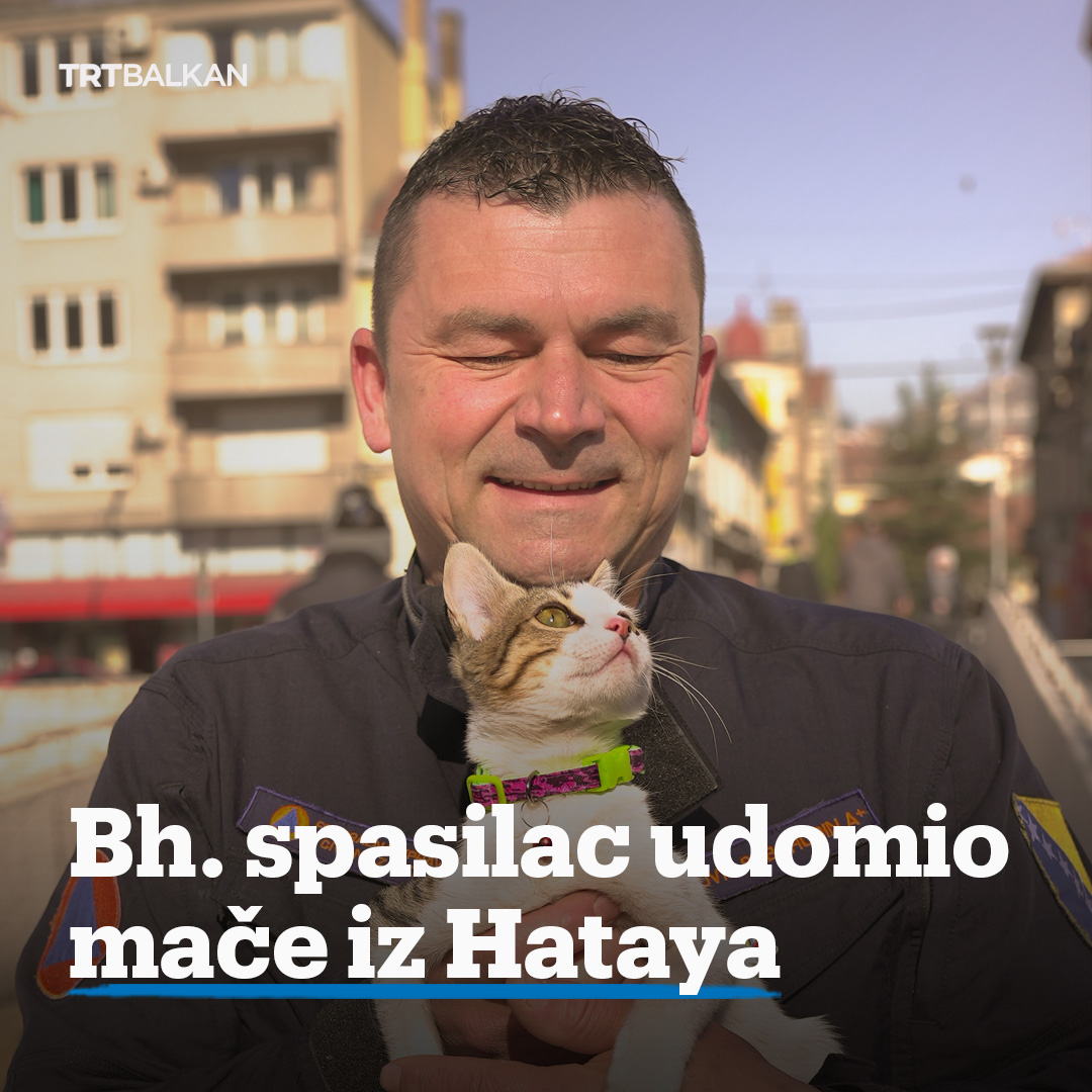Aleyna - simbol života i borbe. Upravo ovako su bh. spasioci nazvali preplašeno mače koje su pronašli pred sami polazak iz zemljotresom razorene Antakye u Hatayu.
