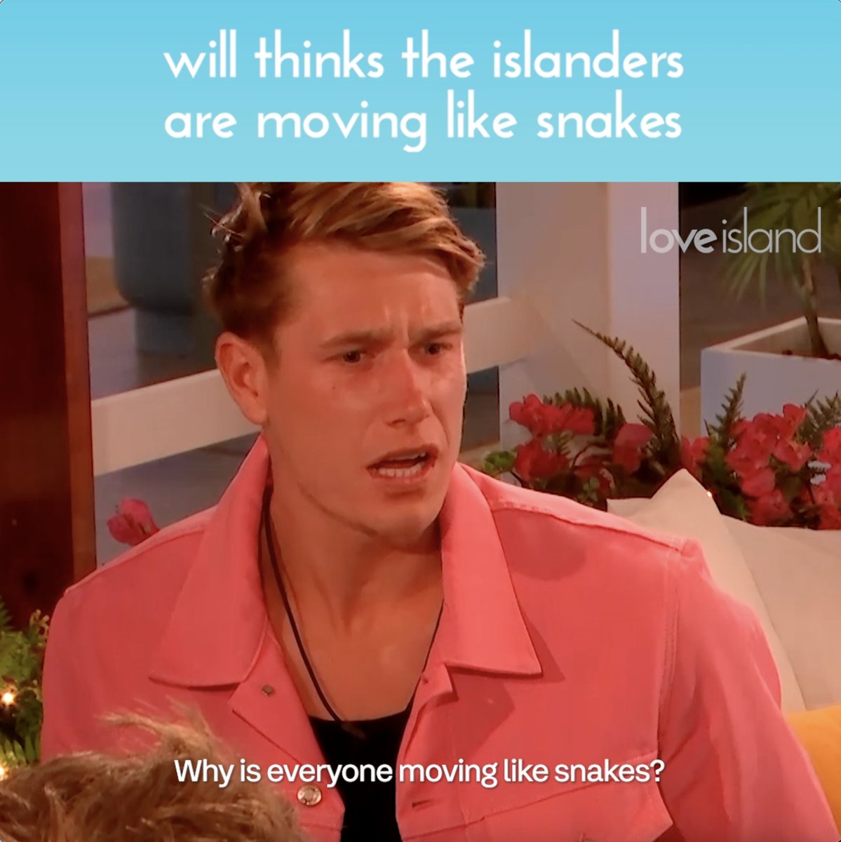 Will's sheep > Snakes #LoveIsland