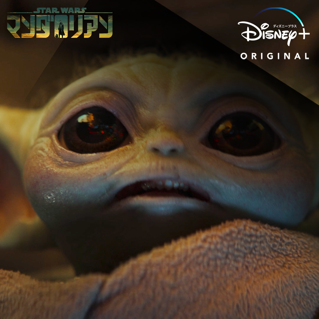 ＼ついに配信開始‼／ 『#マンダロリアン』 シーズン3 感想キャンペーン開催🎉 1⃣スター・ウォーズ公式 をフォロー 2⃣↓を付けて感想を投稿！ #我らのマンダロリアンキャンペーン 《本投稿RTでも参加🆗》 抽選で30名様に🎁 投稿で参加してくれた人には 豪華な賞品が当たるチャンス✨ #スターウォーズ