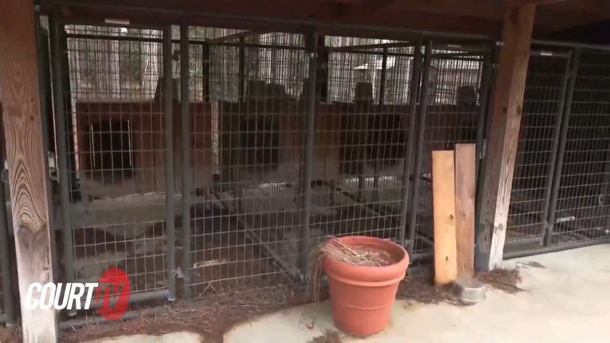 WATCH: #CourtTV walks the path the jury took moments before at the Moselle kennels where Paul and Maggie Murdaugh were murdered. Do YOU think the jury will convict #AlexMurdaugh?
