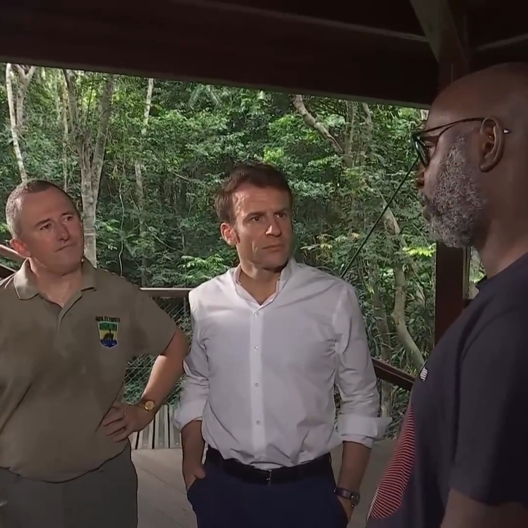 Avec le ministre gabonais Lee White et les professeurs Alfred Ngomanda et Suspense Averti Ifo, au cœur de la réserve protégée Raponda Walker dans le bassin tropical du Congo.