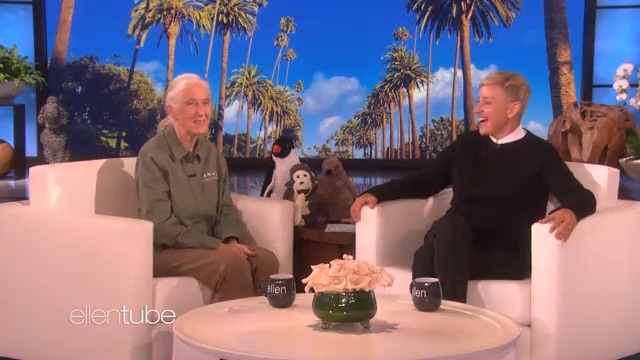 In honor of #WorldWildlifeDay, here are 4 incredible wildlife conservationists making the world a better place. Dr. Jane Goodall & the Jane Goodall Institute, Dereck Joubert, Dr. Tara Stoinski (Dian Fossey Gorilla Fund)