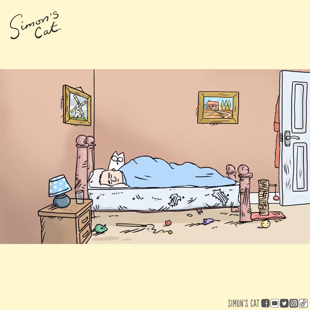 It's the 15 years anniversary of Cat Man Do! 🥰 It was 4th of March 2008 when a certain baseball bat was picked up and Simon's Cat was 'born'. Celebrate with us and this new colour version of the first Simon's Cat film.