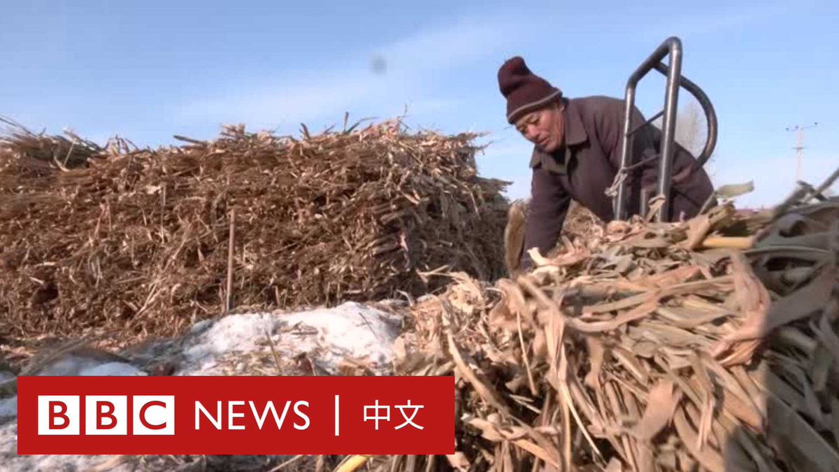 黑龙江是中国东北“锈带”的一部分，这里曾是中国最重要的工业基地。但上世纪90年代的国有企业改革改变了这里的命运。 年轻人纷纷涌向南方寻找工作机会，留下的人不足以为当地政府的养老金提供支持。近年来当地老龄化问题严重，新生儿出生率持续走低，一场经济和人口危机正在来临。
