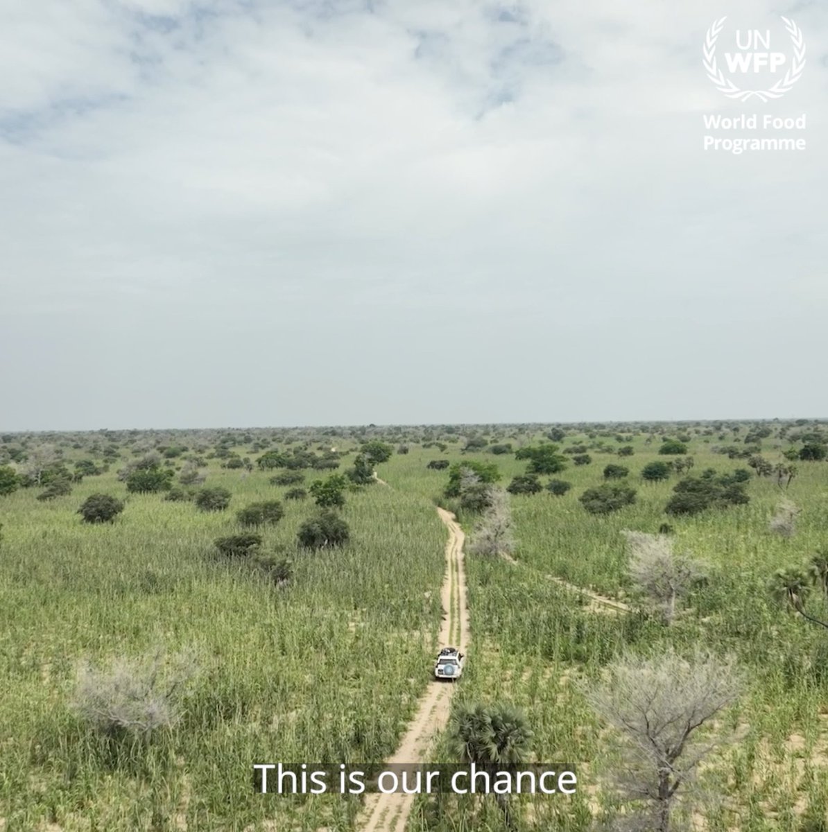More jobs, more food, more hope: that's exactly what World Food Programme resilience programs are delivering around the world. Check out how World Food Programme_WAfrica is working with local communities to literally plant the seeds of a brighter future for families across the #Sahel!