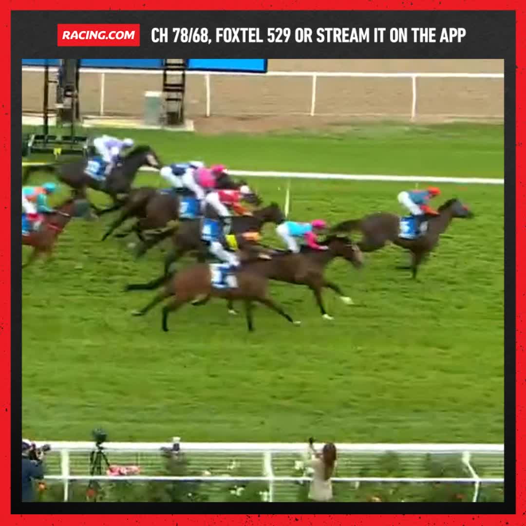 A blistering final 100m from Serenaur gives the gelded son of Star Turn his fourth career win 🔥 Brent Stanley