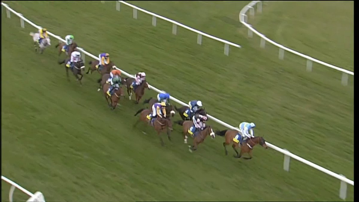 🐴 The Bruiser (Hardy Eustace) versus The Cruiser (Harchibald) in the 2005 Champion Hurdle There is just a week to go until the 2023 Cheltenham Festival. 😍 #RTVFlashback | #CheltenhamFestival | #7DaysToGo | Betfair
