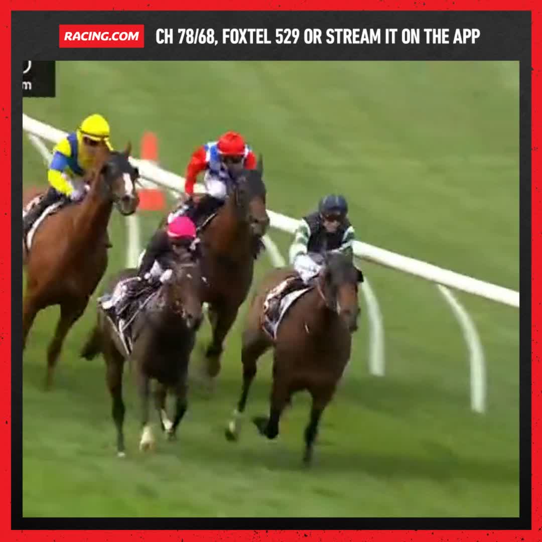 Cuántos kilos de diferencia habrá entre los 2 caballos que protagonizaron este final en Australia? 📽️ Racing.com