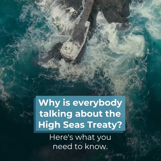 The High Seas Treaty is BIG news for our ocean! 🌊 30% of the world's ocean will be protected 🐠 Increased funding for marine conservation 🪸 Better shared marine genetic resources This is a milestone in the fight against #ClimateChange, #biodiversity loss & pollution!