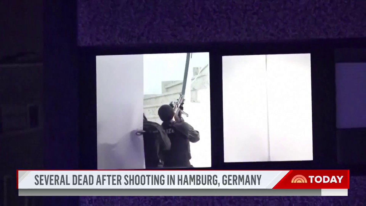 A shooting at a Jehovah’s Witness Kingdom Hall in the German city of Hamburg killed seven people, as well as the suspected gunman.