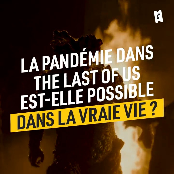 La pandémie dans The Last of Us est-elle possible dans la vraie vie ? Pour répondre à cette question, nous avons interrogé IFI_Unit@pasteur, immunologiste et responsable de l’unité immunologie des infections fongiques à l’institut Pasteur.