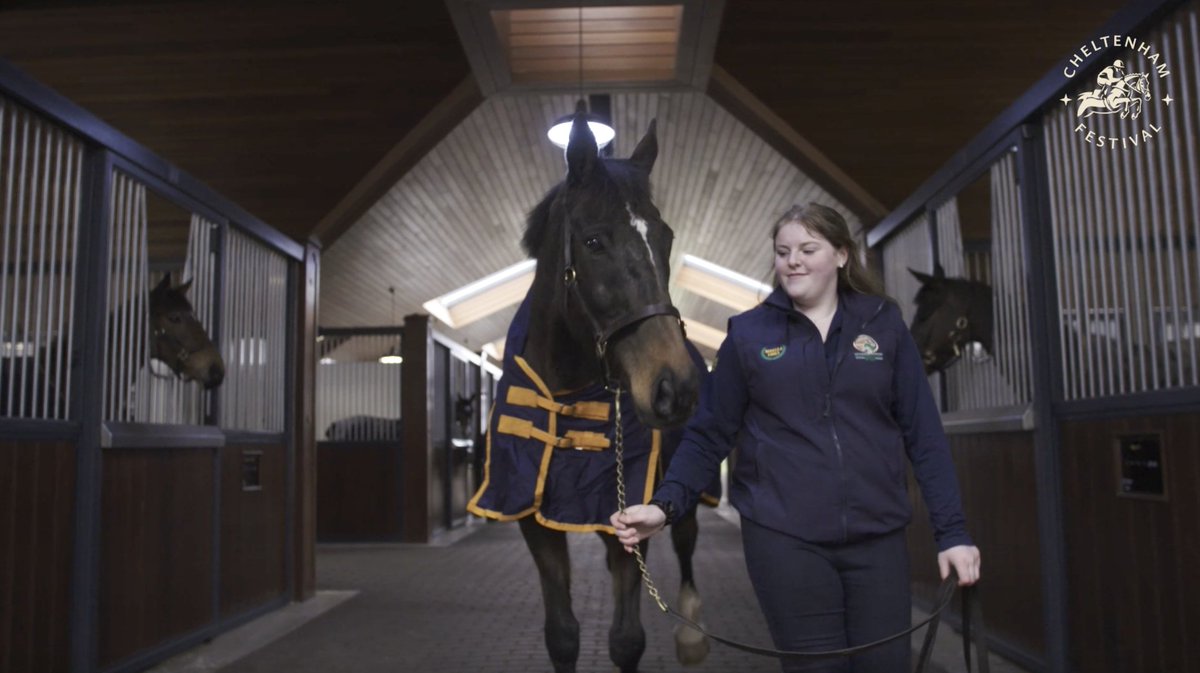 "Those people go so unrecognised, but it was about saving the horse's life." 👏 This is the emotional story of Edwulf. #CheltenhamFestival #HorseWelfare