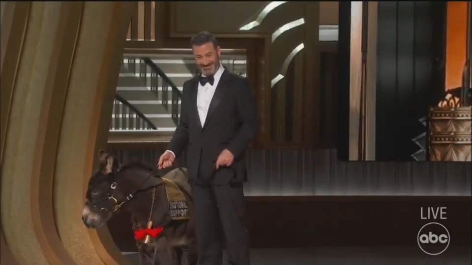 Awards season darling Jenny the Donkey from #TheBansheesOfInisherin takes the stage at the #Oscars
