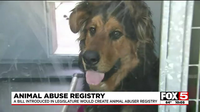 Nevada lawmakers will consider a new bill that would essentially put convicted animal abusers on a registry that would ban them from owning or living with animals. Regina Ahn shares more. STORY: