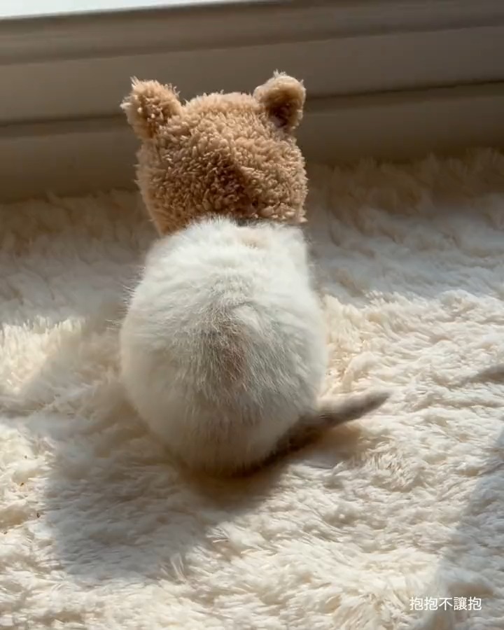 little steps