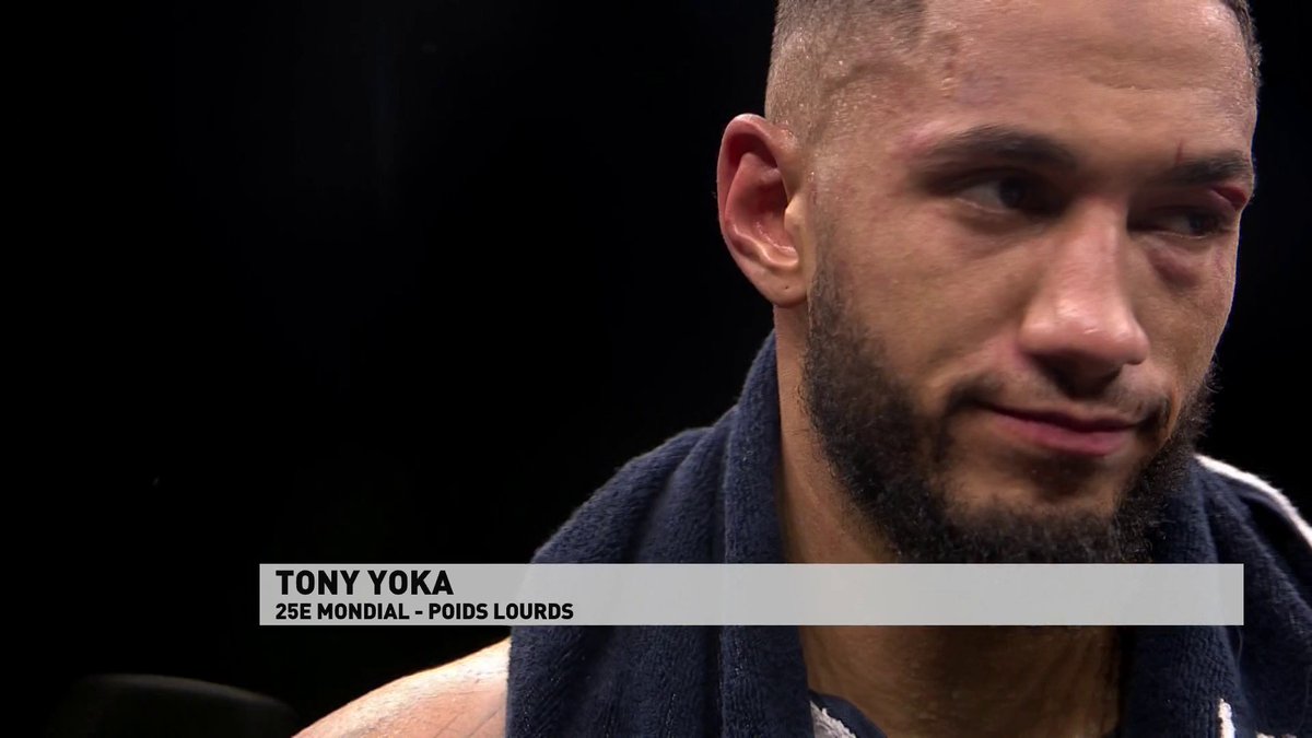 Pensez-vous que Tony YOKA puisse rebondir pour obtenir une ceinture mondiale ? OUI👍 ou NON👎