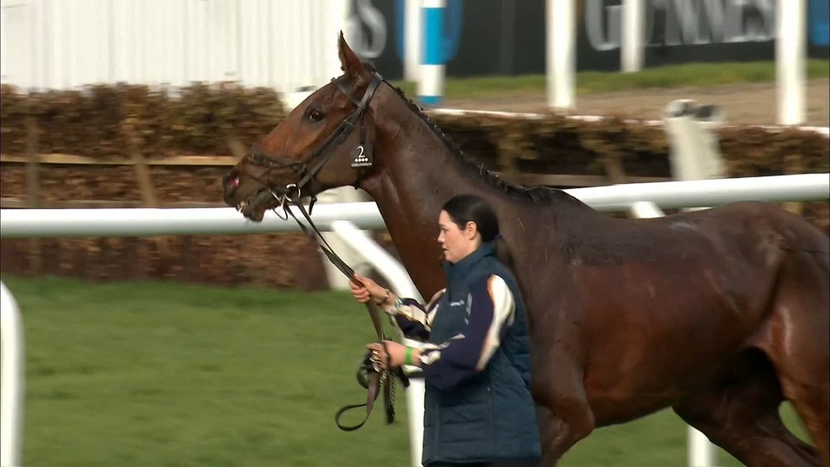 ♥ Dysart Dynamo #ITVRacing | #CheltenhamFestival
