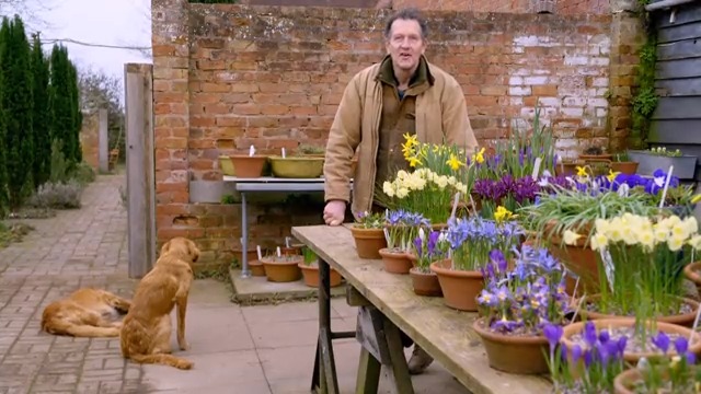 Not long now 🙂🌷🐶 Monty Don #Gardening #SpringIsComing #GardenersWorld #FlowersOnFriday #DogsOfTwitter