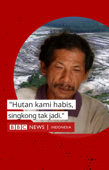 Dua tahun berjalan program lumbung pangan nasional di Kalimantan Tengah, hasilnya: gagal. Kebun singkong 600 hektare mangkrak dan 17.000 hektare sawah tak kunjung panen. Ikuti penelusuran BBC Indonesia bersama Pantau Gambut.