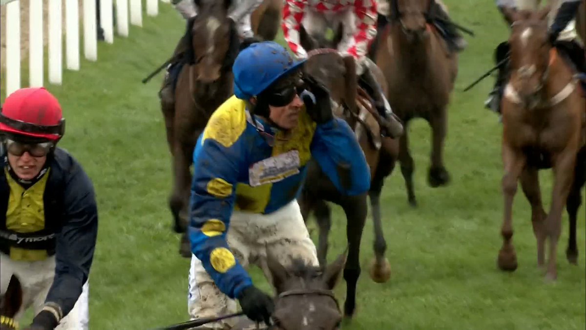 Langer Dan wins the Coral Cup under a brilliant Harry Skelton ride!! You absolute beauty, get up. 😍😍 #CheltenhamFestival