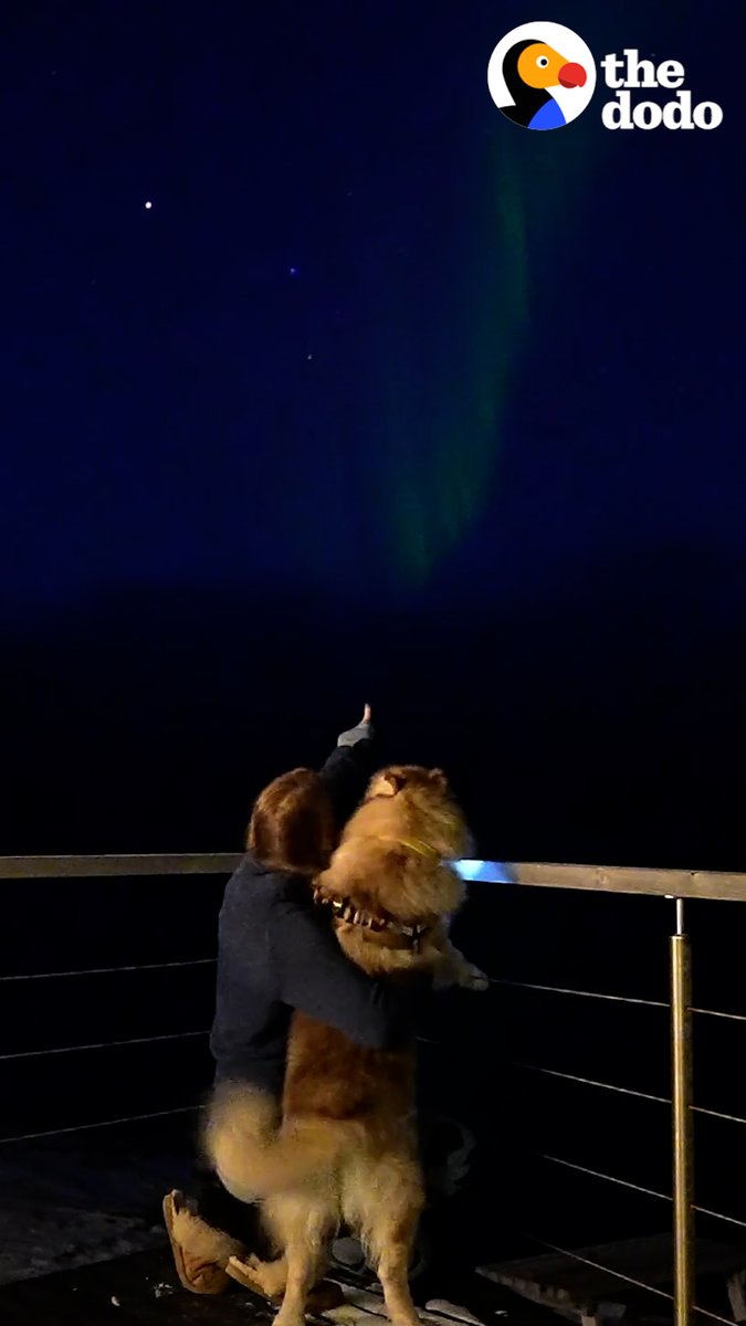 When you and your dog live in the North Pole in the middle of winter 💙