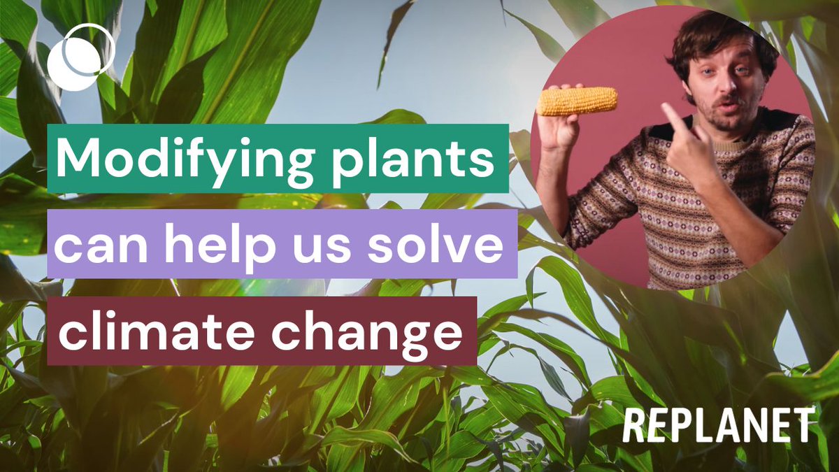 RePlaneteer and molecular biologist Hidde (Hidde Boersma) explains why modern gene editing technology is crucial to feeding humanity without destroying our home, planet earth. Time for the EU to #GivesGenesAChance. Find out more:
