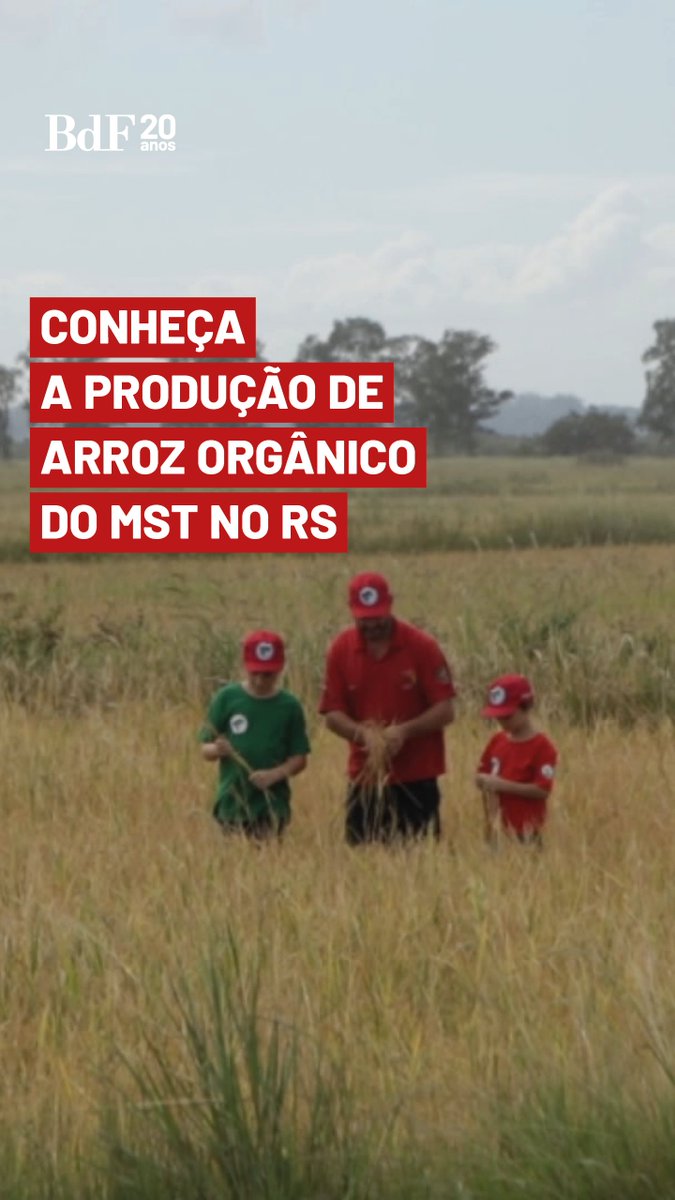 Arroz orgânico e sem veneno é com o MST ✊🏼 O MST e o Grupo Gestor do Arroz Orgânico realizam, nesta sexta (17), a maior Festa da Colheita do Arroz Agroecológico já organizada. Conheça a produção gaúcha do arroz agroecológico. ⤵ #BrasildeFato 📲
