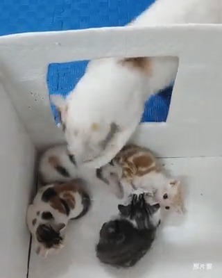 heck the kids